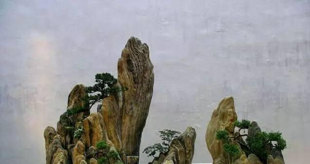 石头盆景的艺术之美（探索石头盆景的创作技巧与魅力）
