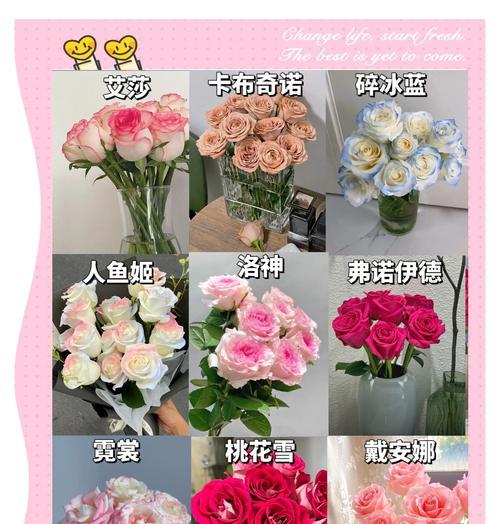 揭秘11朵玫瑰花语，代表什么意思？（深入解析花语，传达不同的情感）