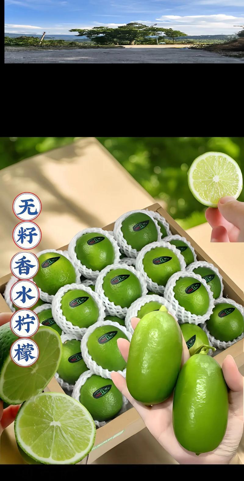 青柠檬泡水喝的好处（探究青柠檬泡水喝的功效与方法）