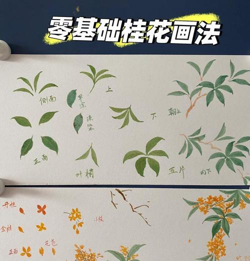 如何正确地将桂花上盆（简单步骤教你打造美丽的桂花盆栽）