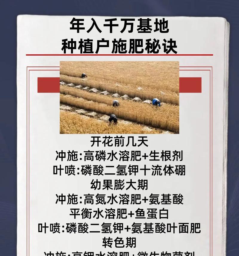 磷酸二氢钾在杜鹃花种植中的应用（提升杜鹃花生长的关键磷酸二氢钾）