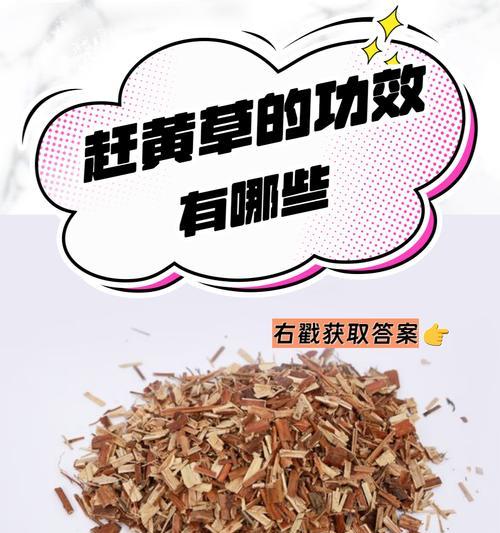 探秘虎耳草的食用方法（虎耳草的独特味道与食用禁忌）