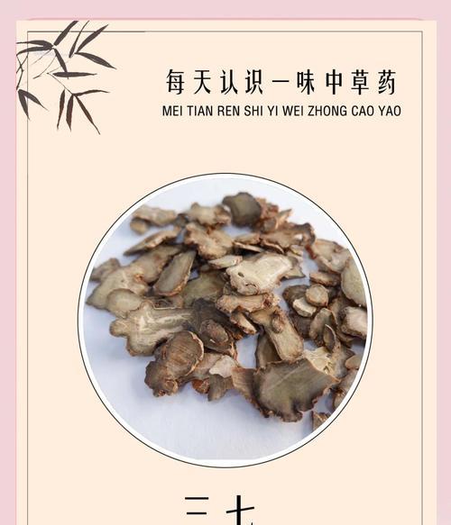 三七植物的养殖方法（掌握三七植物的水、光、温、肥条件，助您成功养殖）