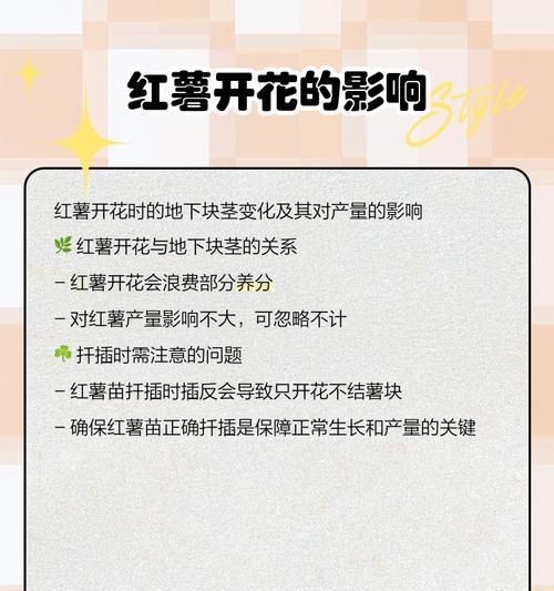 红苕花秋冬养护的技巧（打造花季绚丽，关键在于红苕花秋冬的正确养护方法）