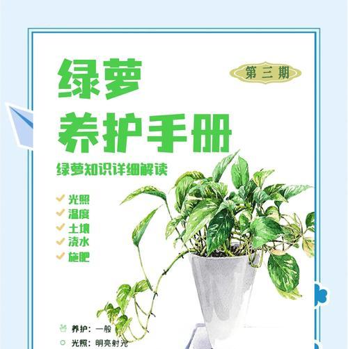 探索新种绿萝的魅力与养殖方法（种植绿萝，打造绿色家园）