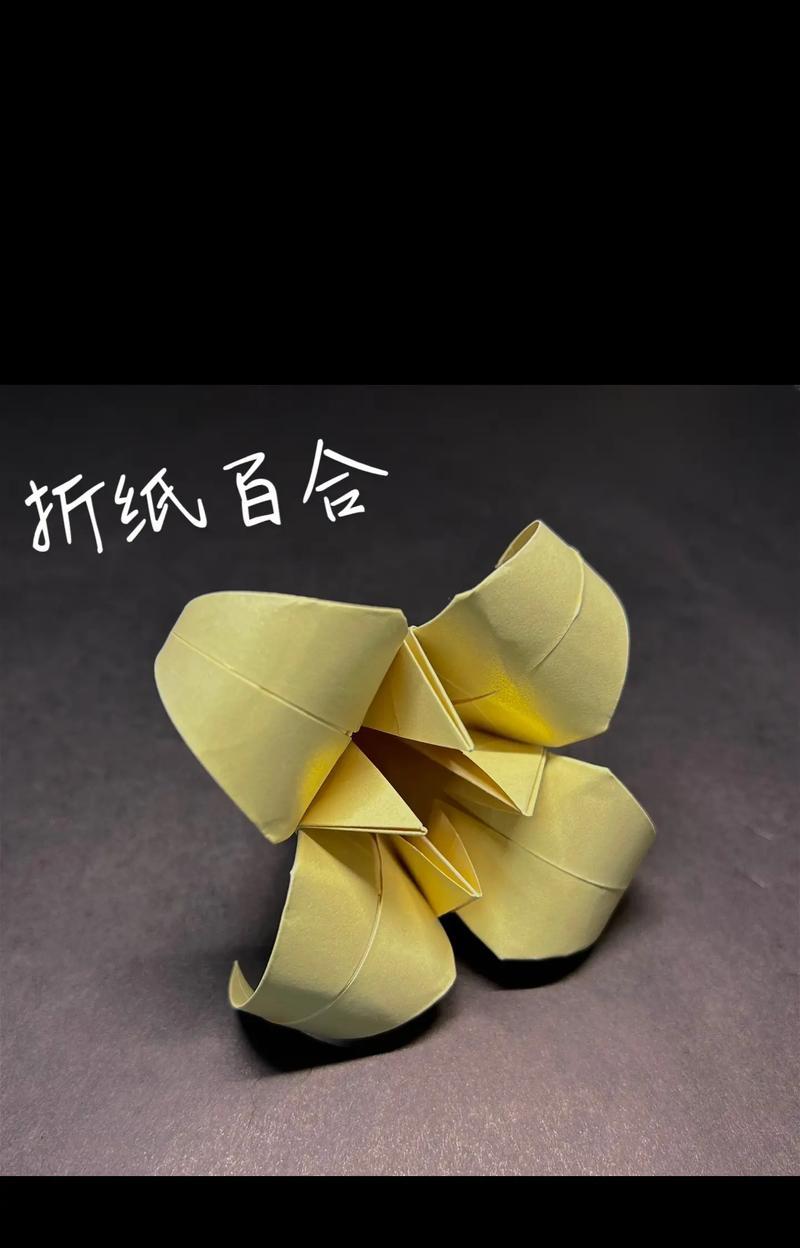 百合花的魅力与变化（探索百合花在不同场景中的变化之美）