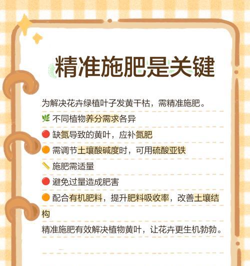 家养花卉叶子黄的治疗方法（怎样让家中花卉重现翠绿生机）