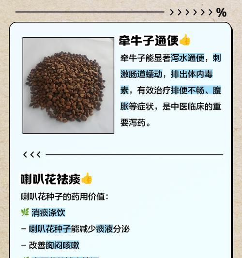 探究牵牛子的神奇功效（发现牵牛子对健康的保障作用）