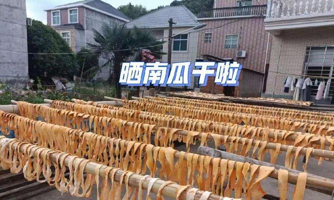 如何保存以兰瓜的新鲜美味（保存以兰瓜的小技巧及注意事项）