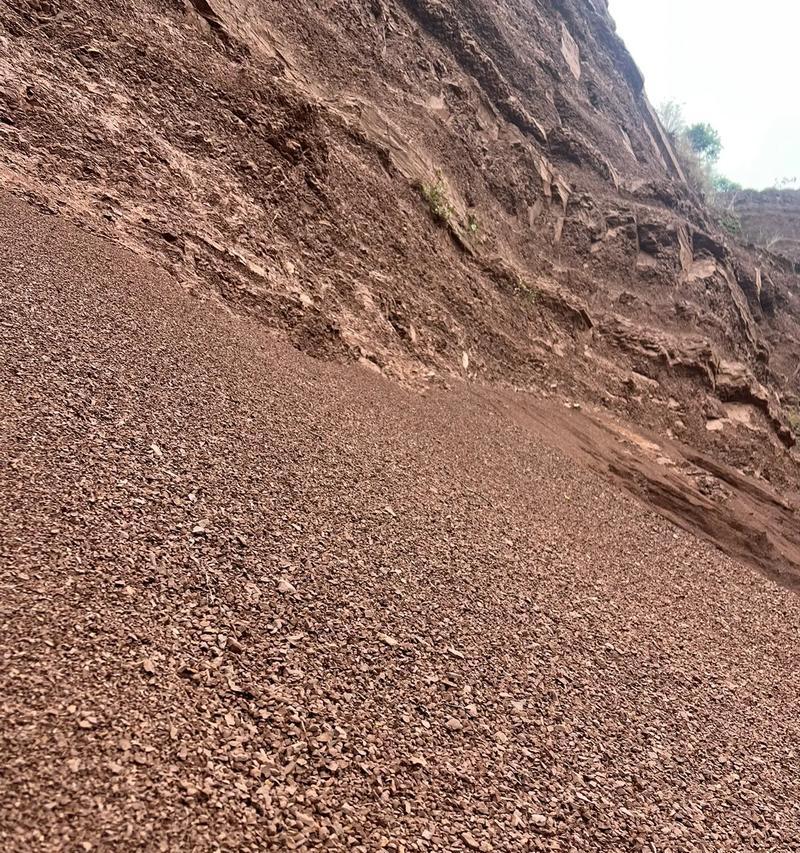 金弹子配土方法与种植土壤（打造适宜金弹子生长的土壤）