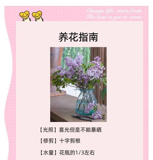 丁香花不修剪的后果（揭秘不修剪丁香花的花园状况及对花朵生长的影响）