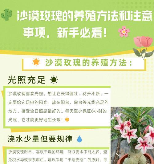 玫瑰枝的种植方法（从选取种植材料到生根繁殖，学习种植玫瑰枝的窍门）