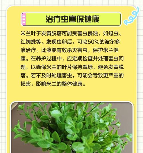 如何科学地浇水养护米兰（掌握正确的浇水技巧，打造繁茂美丽的米兰植株）