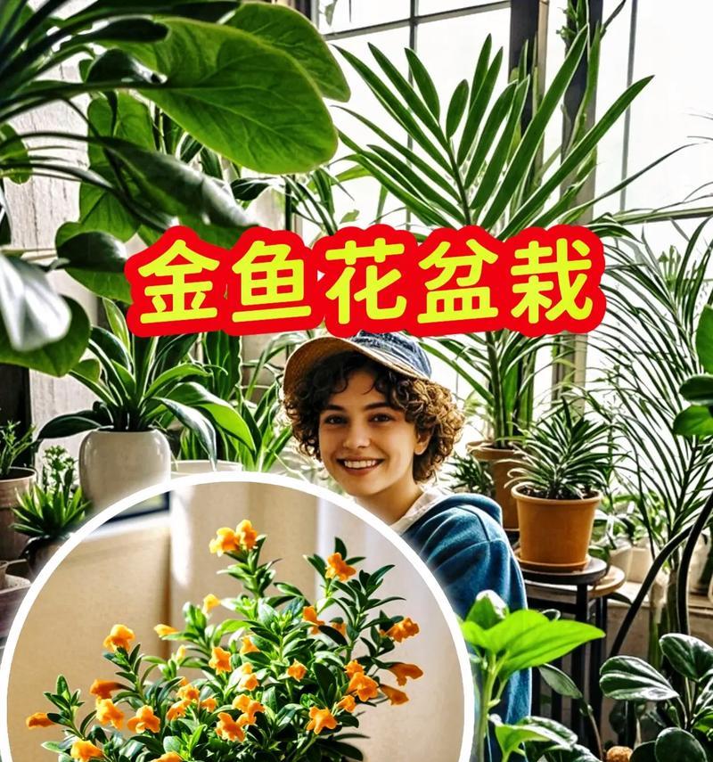 金鱼花修剪技巧与方法（打造美丽花坛，赏心悦目的金鱼花修剪指南）