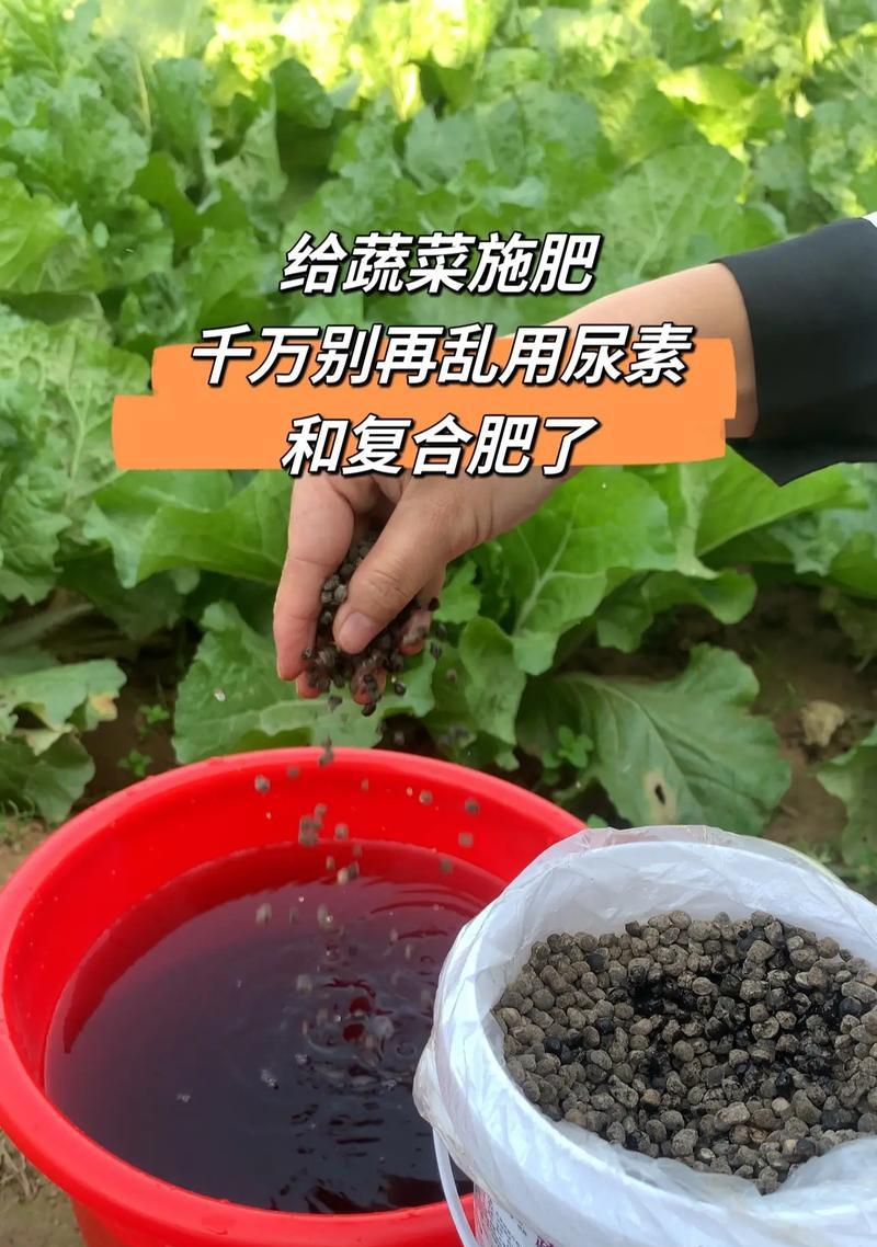 多肉施肥的正确方式——尿素肥料的使用（用尿素肥料为多肉植物提供养分，保持健康生长）