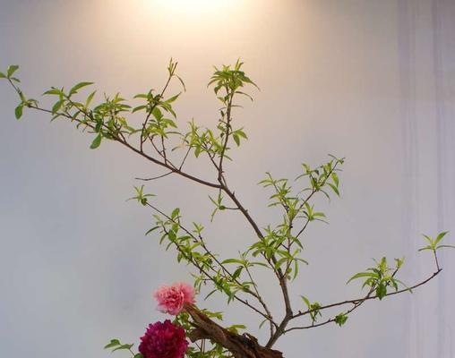 插花修剪的技巧与方法（掌握插花修剪，让花艺更加精致）