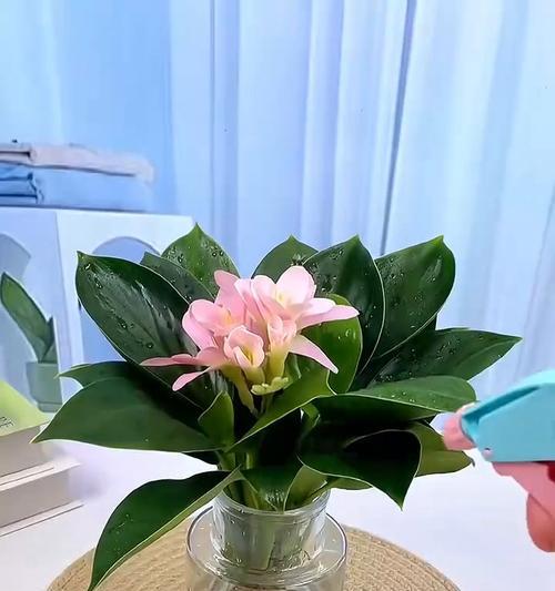 如何正确浇水（平时花怎么浇？掌握这些技巧，让花草健康茁壮）