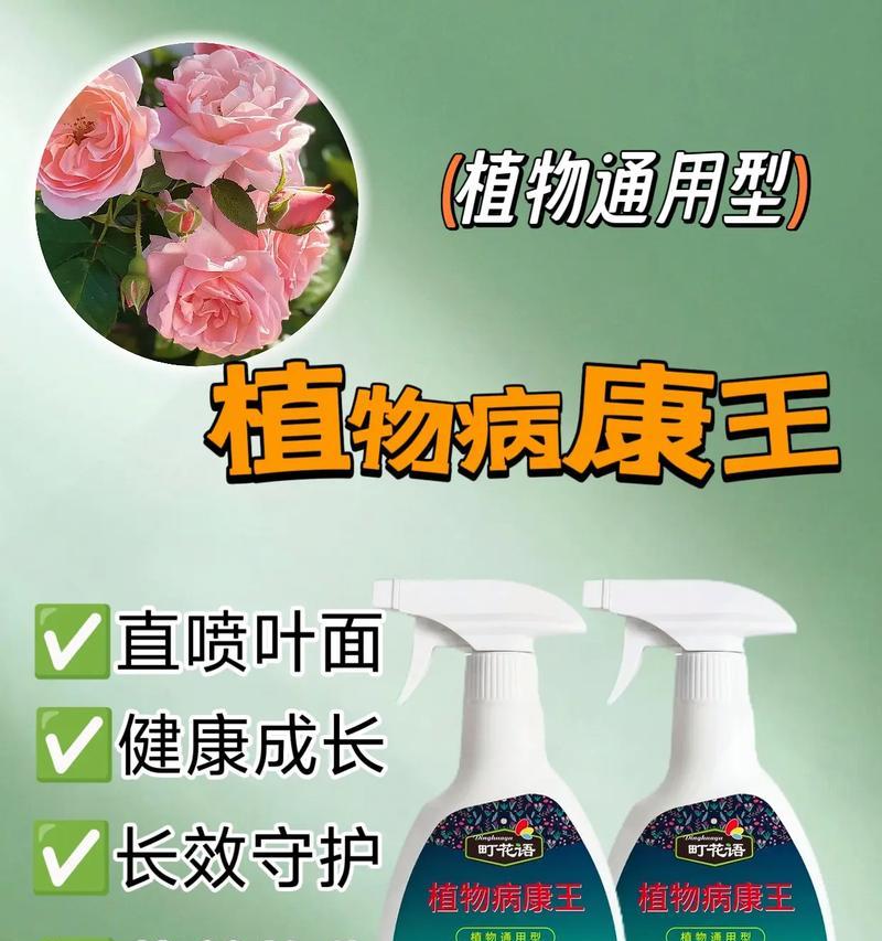 如何治疗绿植的枯叶病（预防与应对绿植枯叶病的关键步骤）