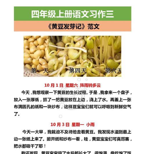 快速发芽的黄豆种植技巧（教你掌握黄豆发芽的秘诀，让种豆不再难）