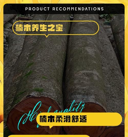 金丝楠木在院子里种植的适宜性分析（适合院子种植的金丝楠木特点与注意事项）