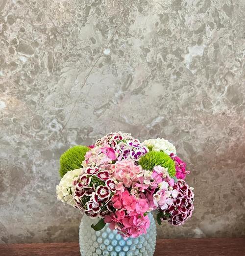 以石竹发芽了怎样养护？（掌握关键技巧，让石竹茁壮成长）
