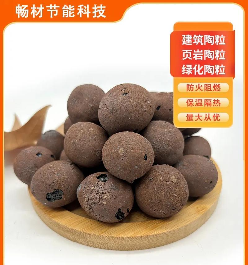 君子兰陶粒使用指南（打造健康茁壮的君子兰，陶粒是关键）