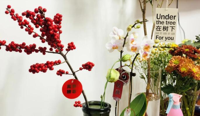 冬季水培植物养殖方法（室内水培技巧分享，让植物温暖过冬）