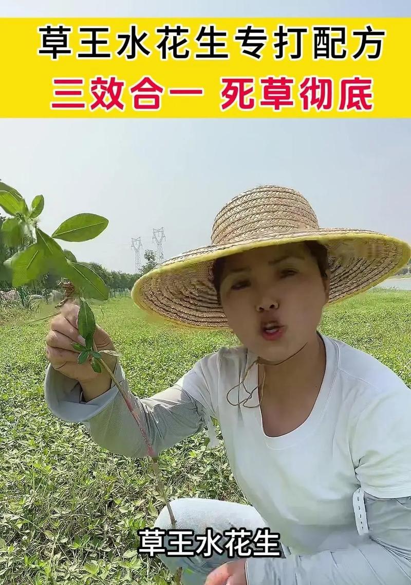 如何加速水花生的生长（掌握关键技巧，让水花生茁壮成长）