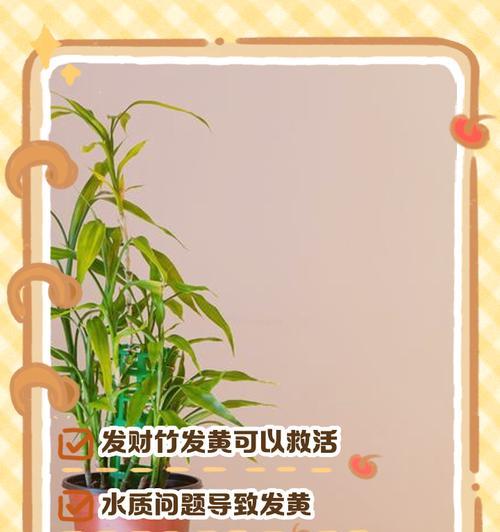 竹子杆软变黄的原因及处理方法（如何防止竹子杆软变黄？-）