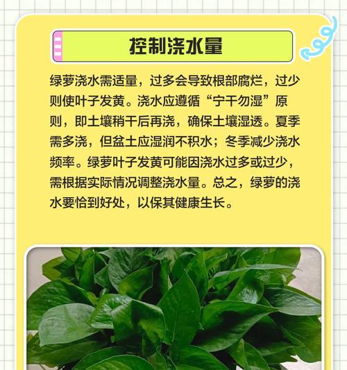 绿萝怎样保持健康（解决绿萝生长过长发黄问题的方法）