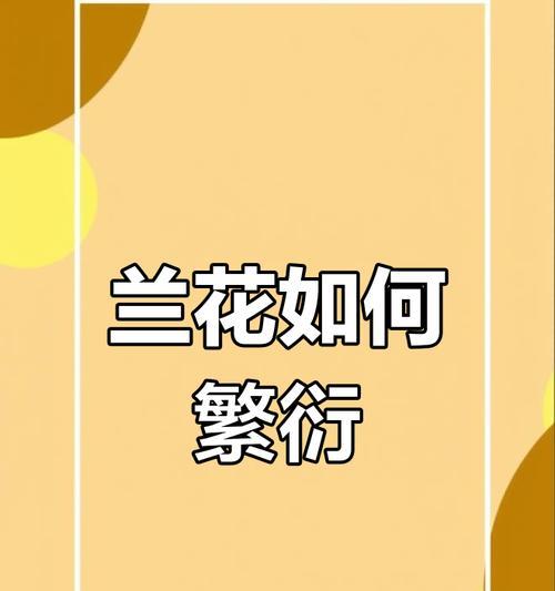 兰花繁殖指南（掌握兰花繁殖技巧，打造花园中的盛世美景）