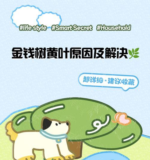 铜钱树叶子黄了？别急，教你如何挽救！（从发黄到重现翠绿，专家支招让你的铜钱树重焕生机）