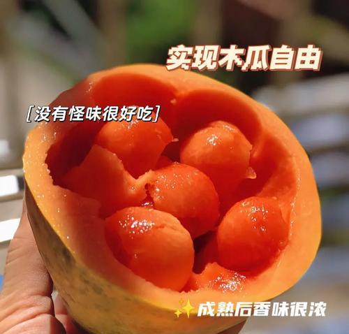 木瓜能否吸附甲醛？（探究木瓜能否成为甲醛清除剂）
