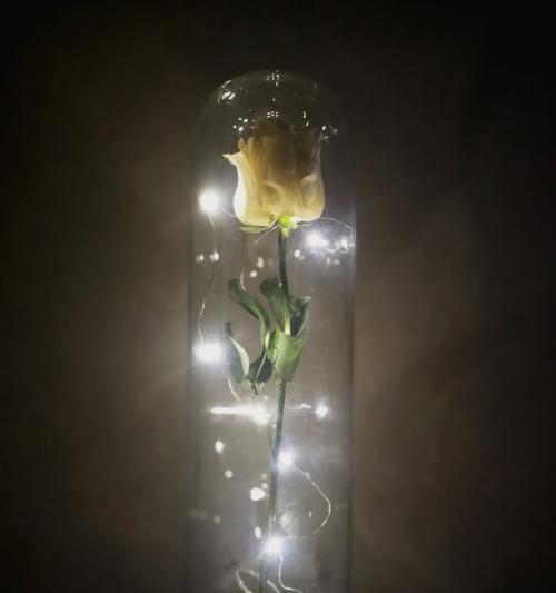 玫瑰花的干花制作技巧（教你如何将鲜美的玫瑰花变成持久的干花）
