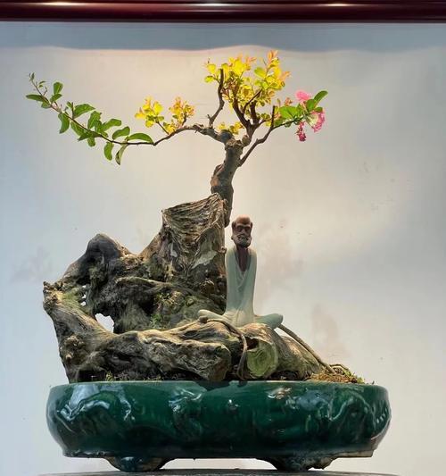 冬季如何养护盆栽紫薇（冬季盆栽紫薇的养护技巧与注意事项）