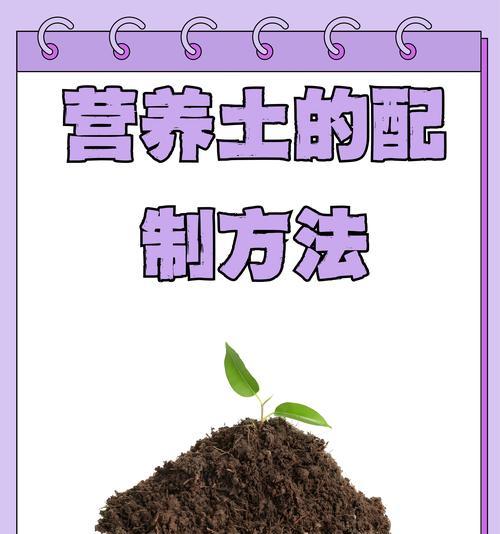 以球兰土的配制与应用（发现土壤秘密，解锁球兰土的神奇力量）
