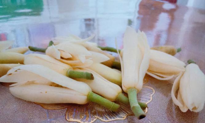 黄桷兰修剪（黄桷兰修剪技巧及注意事项）