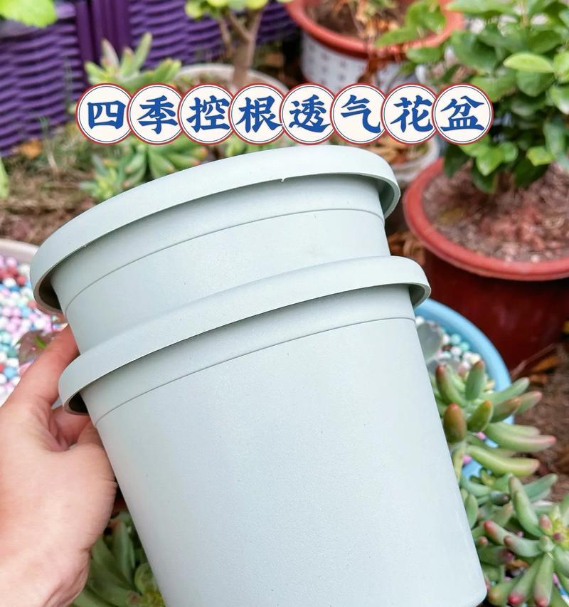 以切口花盆种花的技巧与方法（打造独特花园，从切口花盆开始）