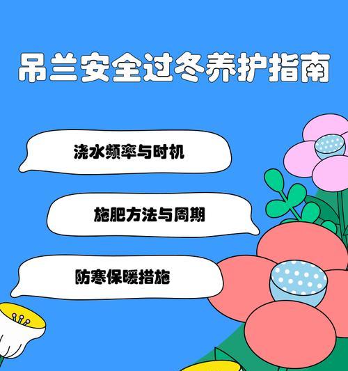如何正确养护吊兰，让它在冬天也能健康生长（吊兰冬季养护的关键诀窍，让你的吊兰不再枯萎凋谢）