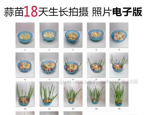 水中怎么泡大蒜才能发芽？（有效的方法让大蒜迅速发芽）