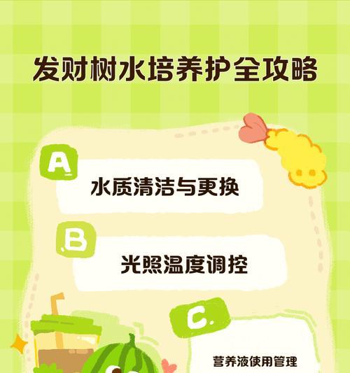 水培发财树的冬季养护技巧（冬天如何让水培发财树健康度过寒冷季节）