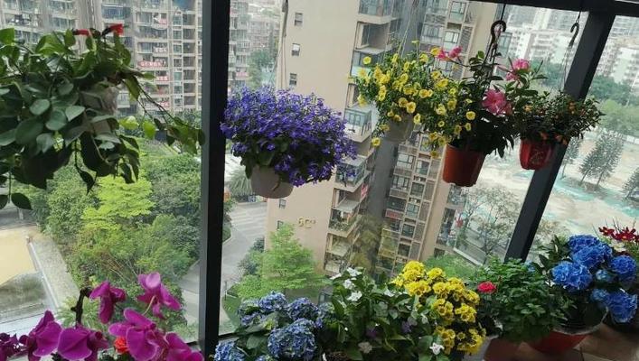 冬季花卉养护指南（让不耐寒的花卉在寒冷的冬季中绽放生机）