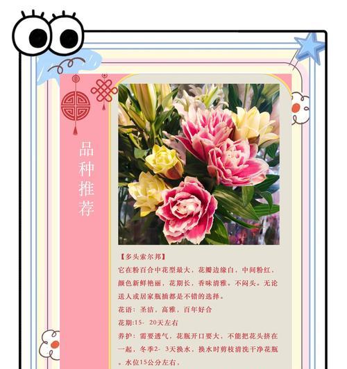 百合的冬季养殖方法（百合冬季养殖的关键步骤与技巧）