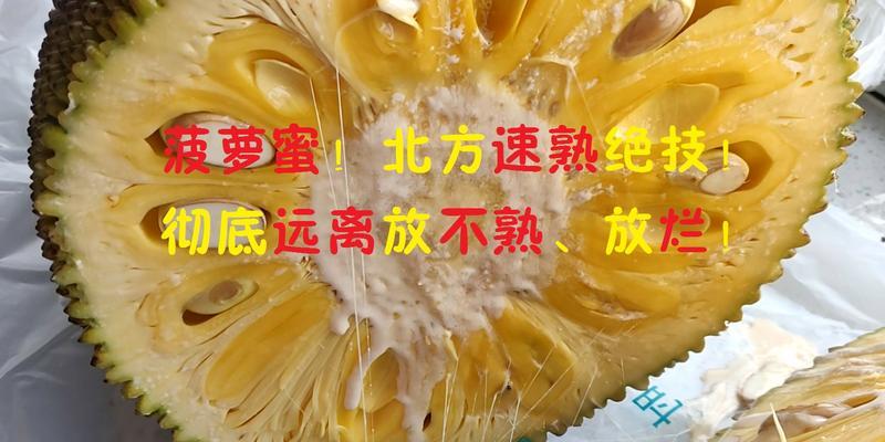 如何判断树菠萝是否熟透？（掌握这些技巧，分秒不误！）