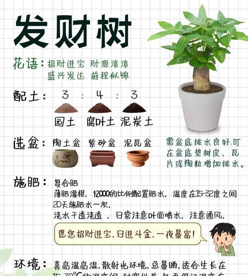 绿宝树浇水全攻略（科学浇水，让绿宝树茁壮成长）