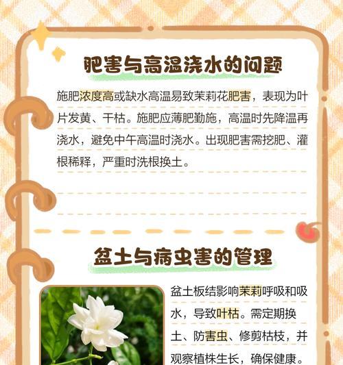 叶片枯萎的原因及处理方法（探究叶片枯萎的成因以及有效的修复方法）