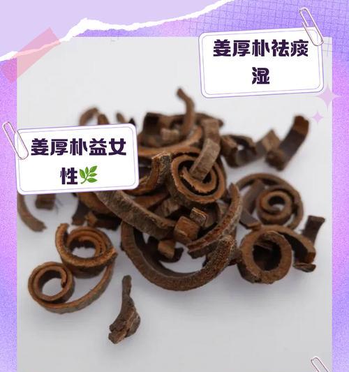 厚朴果实的吃法（多种方式品尝厚朴果实，丰富你的饮食体验）