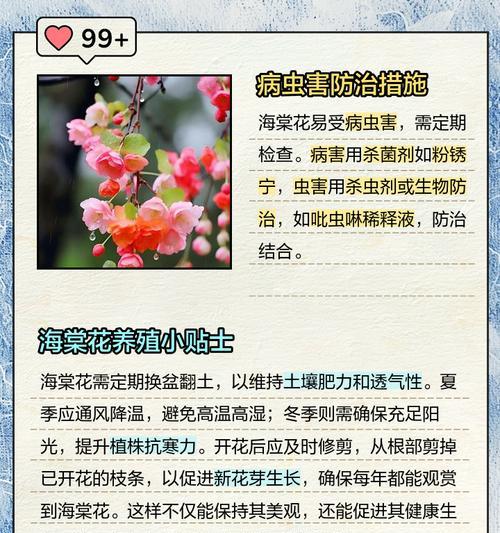 海棠的种植与养护（掌握海棠的养殖技巧，打造美丽花园）