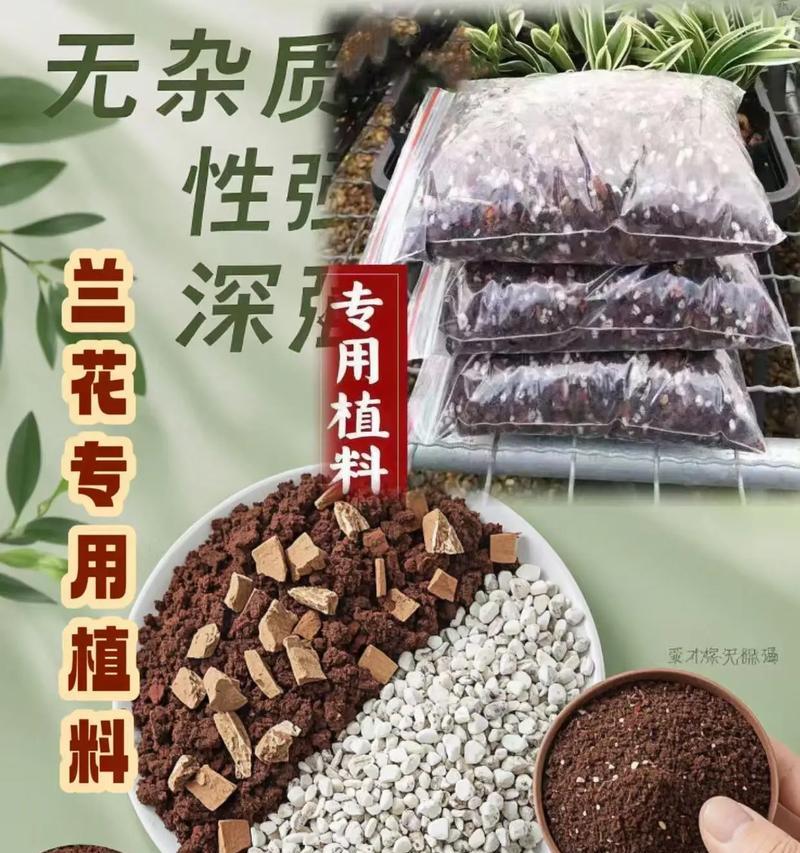养兰花的最佳土壤选择（探索兰花栽培中土壤的最佳配方）