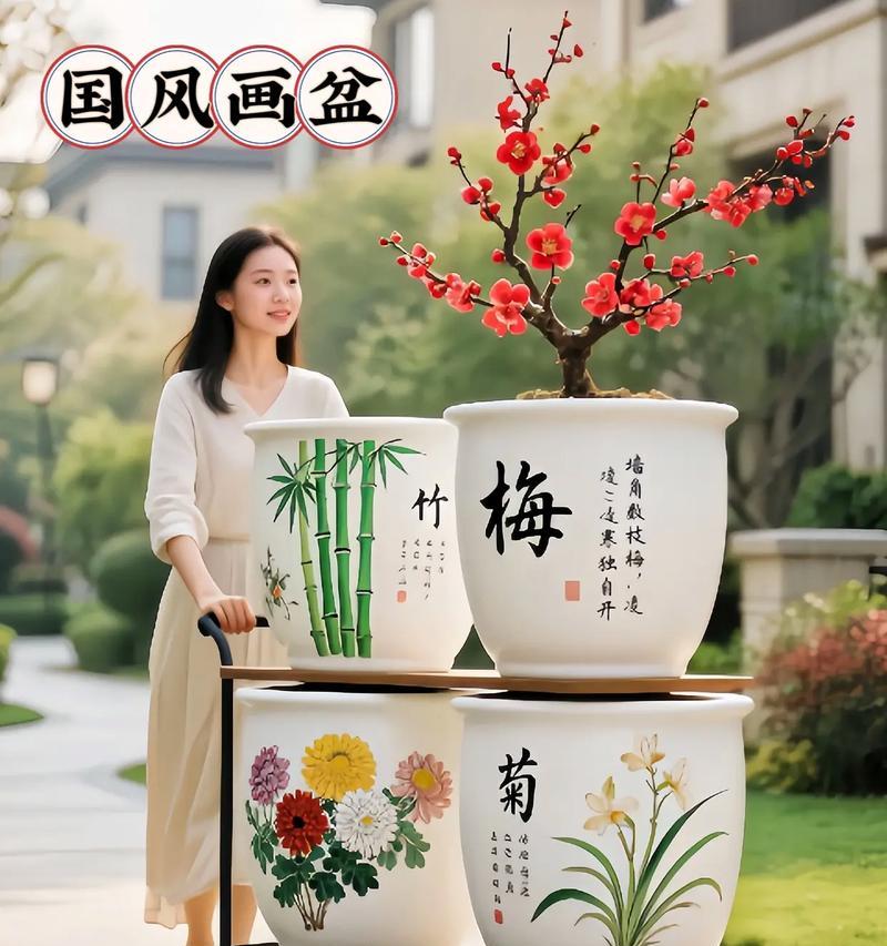 探讨菊花种植盆深度对生长的影响（浅盆还是深盆？选择合适的种植盆以促进菊花生长）